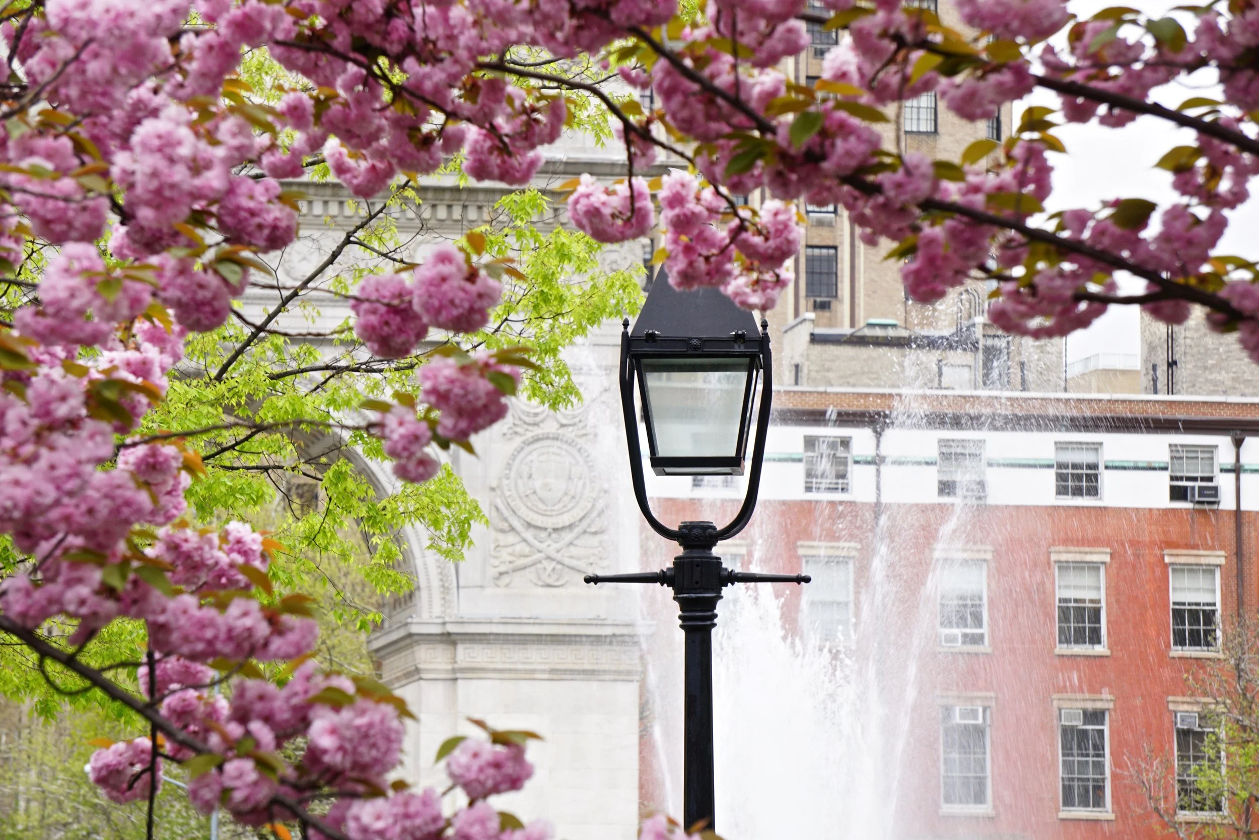Spring has Sprung